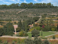 Confidential - Renowned Wine Estate - Inland Provence 6