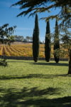 Confidential - Renowned Wine Estate - Inland Provence 6